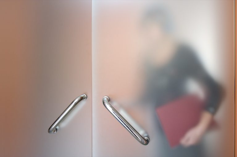 Acid etched glass doors with stainless handles softly obscuring the room beyond