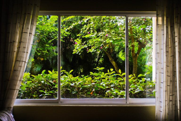 Garden view through a clear laminated glass window