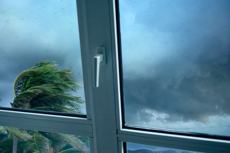 Rain-flecked cyclone-rated window with palms whipping in the storm
