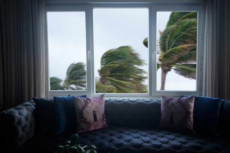 Palm trees bending in cyclone winds outside storm-rated living room windows